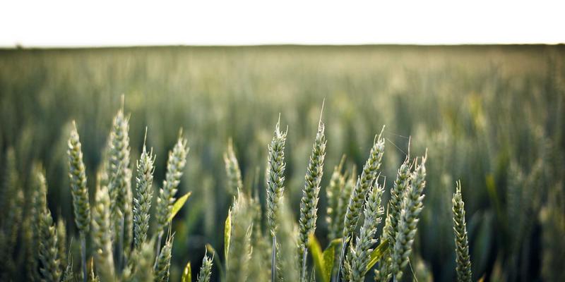 ISO29993标准如何重塑职业认证与IT设计培训质量？本地化实践指南