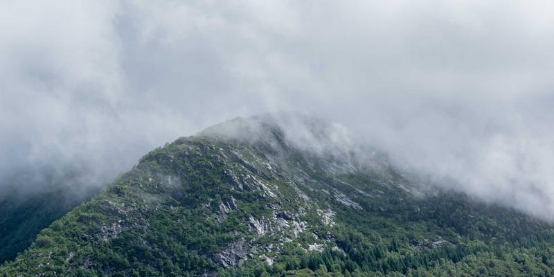IT培训与职业认证新范式：师徒制数字化复兴如何重塑职业技能培训