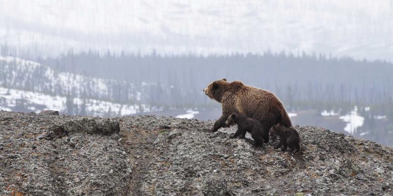IT培训、职业认证与设计培训：三大路径助你提升职场核心竞争力