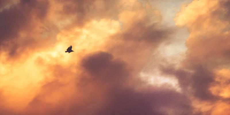 世界培训66视角：揭秘商业管理培训与职业技能培训课程设计的核心原则