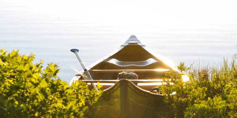 产教融合新范式：探索企业大学与职业院校协同培训模式，赋能职业认证与商业管理培训