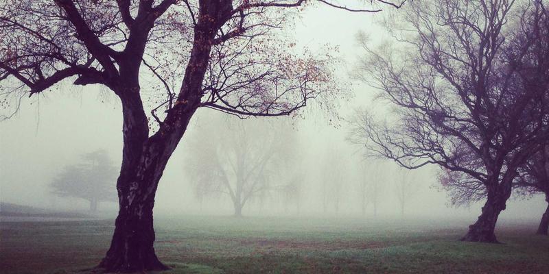 后疫情时代IT培训新范式：混合式学习模式的实践与优化策略