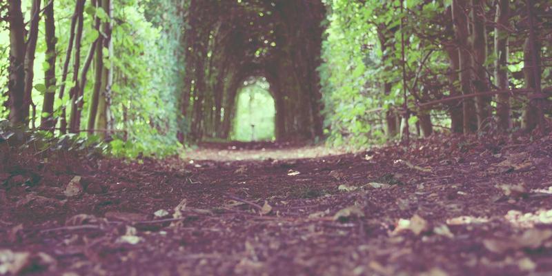 后疫情时代远程职业技能培训的挑战、机遇与最佳实践：聚焦世界培训66、设计培训与商业管理培训