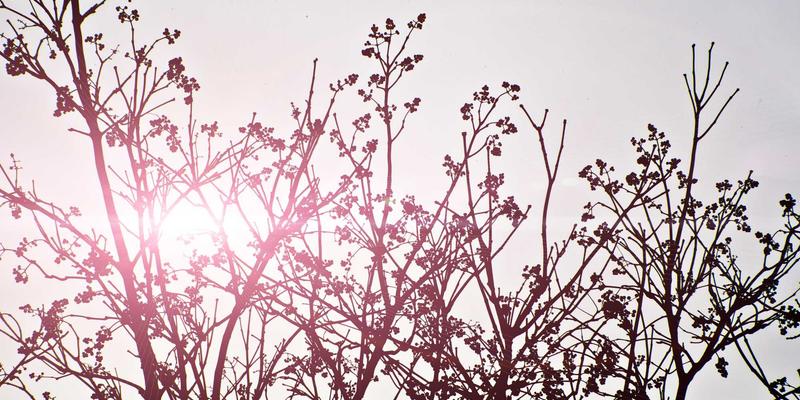 商业管理培训与IT培训中的伦理基石：从世界培训66看金融、医疗行业的合规教育