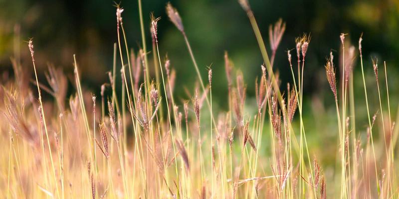 破解培训转化难题：构建从课堂到岗位的完整技能落地闭环