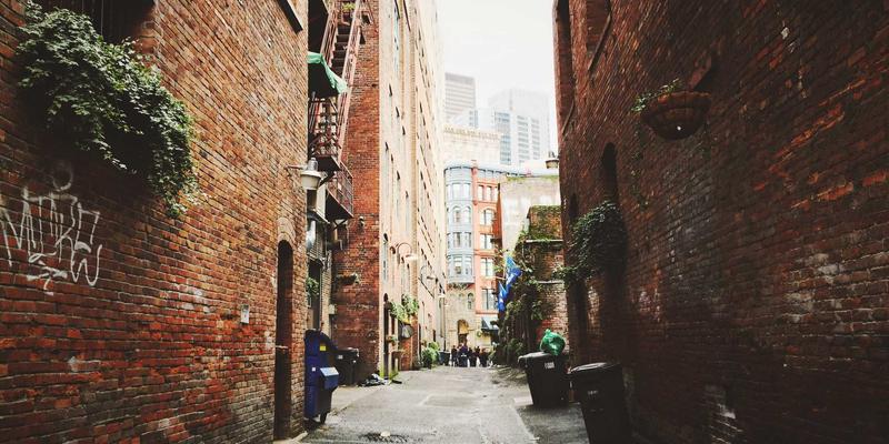 职业技能培训75：融合世界培训66理念，打造设计与商业管理的核心竞争力