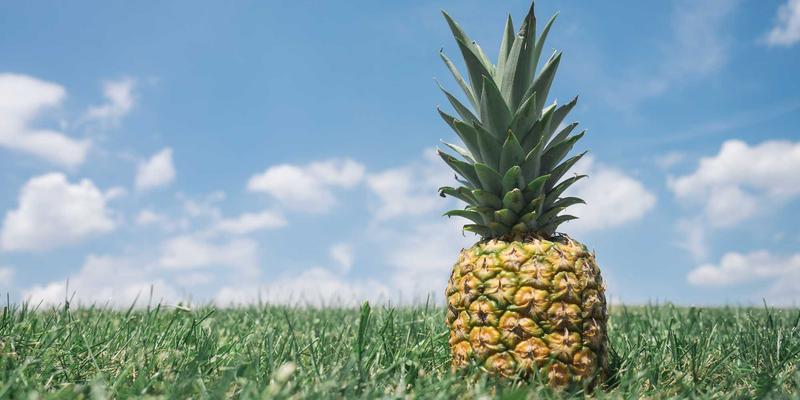 职业技能培训77：IT培训与设计培训如何塑造未来人才 | 世界培训66新视野