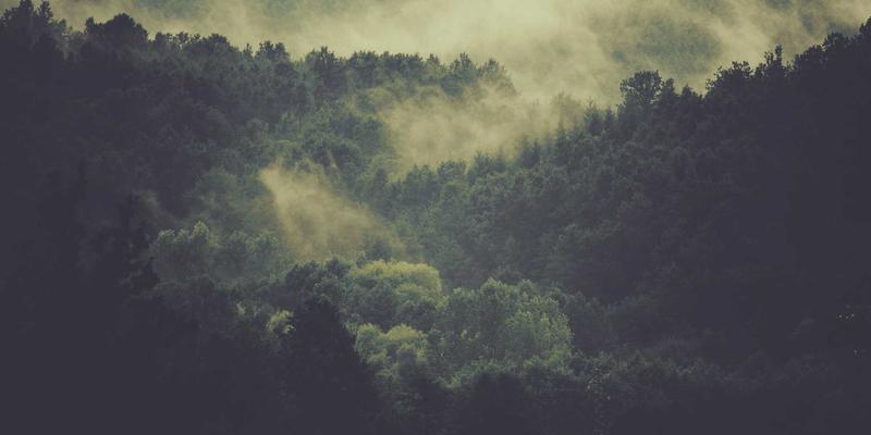 职业技能培训78：商业管理培训与职业认证的双轮驱动策略