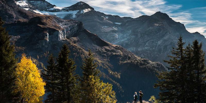职业技能培训79:商业管理培训与职业认证如何重塑职场竞争力