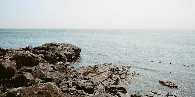 职业技能培训94:职业认证与IT培训如何塑造未来职场竞争力