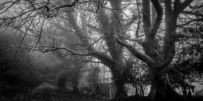 职业技能培训96：职业认证与商业管理培训的融合创新