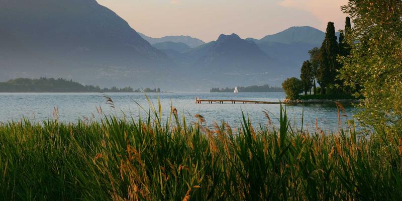 职业技能培训与终身学习账户：数字化时代如何规划你的商业管理与IT学习资产