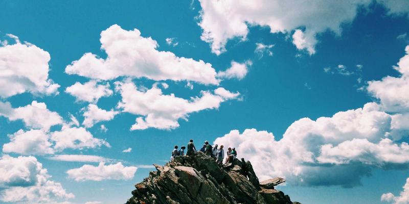 职业技能培训双引擎：导师制与同伴学习如何重塑IT与商业管理培训生态