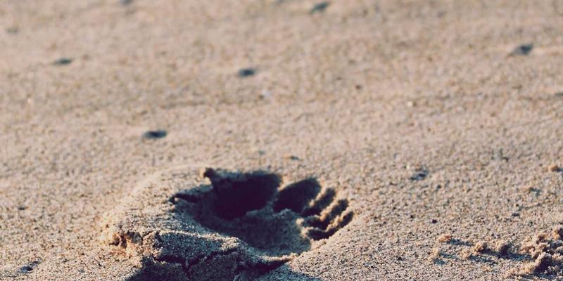 职业技能培训如何赋能未来职场:聚焦IT与设计领域的核心竞争力