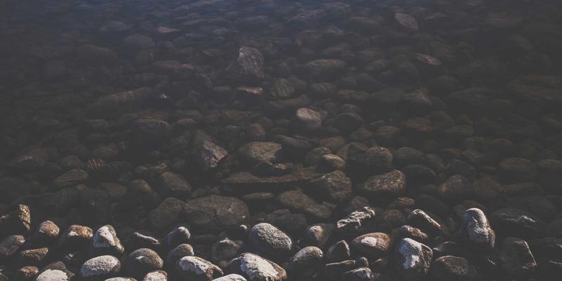 职业技能培训政策全解析：如何申请国家补贴与税收优惠，助力职业认证与IT、商业管理培训