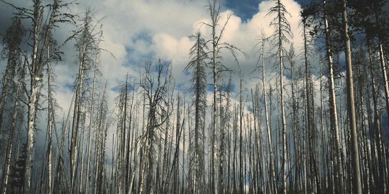 职业技能培训新浪潮：商业管理、IT与世界级培训体系的融合之道