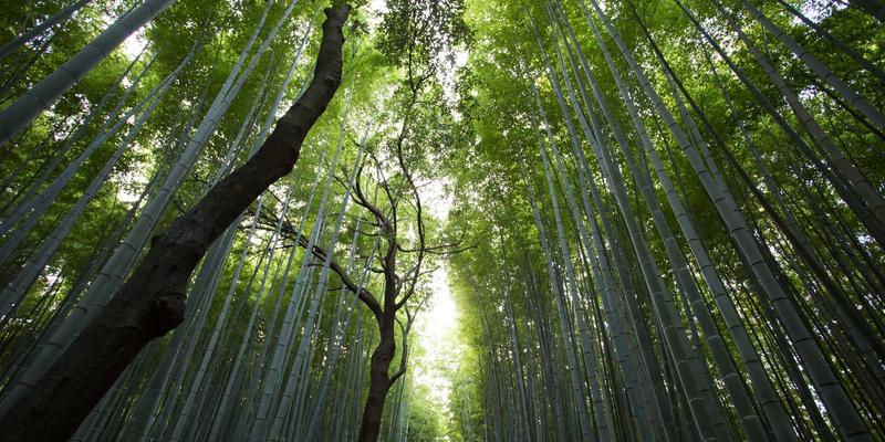 职业技能培训新纪元:职业认证、世界培训66与设计培训的融合之道