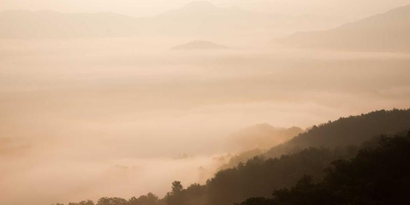 职业技能培训新趋势：IT、设计与世界培训66如何塑造未来职场