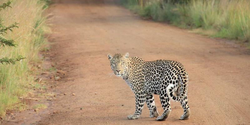 职业技能培训新趋势：设计培训与世界培训66如何重塑职场竞争力