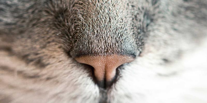 职业技能培训深度评测：世界培训66、设计培训与商业管理培训如何选择？