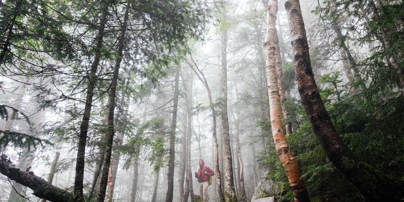 职业技能培训进阶指南：从设计培训到世界级视野的跨越
