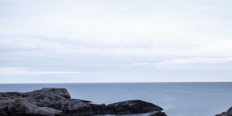 解锁职业新高度:职业认证与商业管理培训的三大核心优势