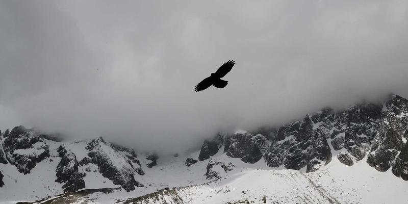 设计培训与职业技能提升：通往世界级专业人才的66个关键路径