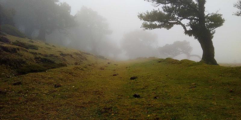 设计培训与职业认证：解锁职业技能培训的黄金组合