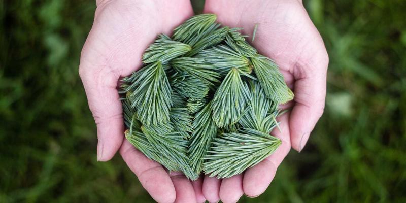 赋能未来：企业定制化职业技能培训方案如何精准驱动商业管理与IT人才发展