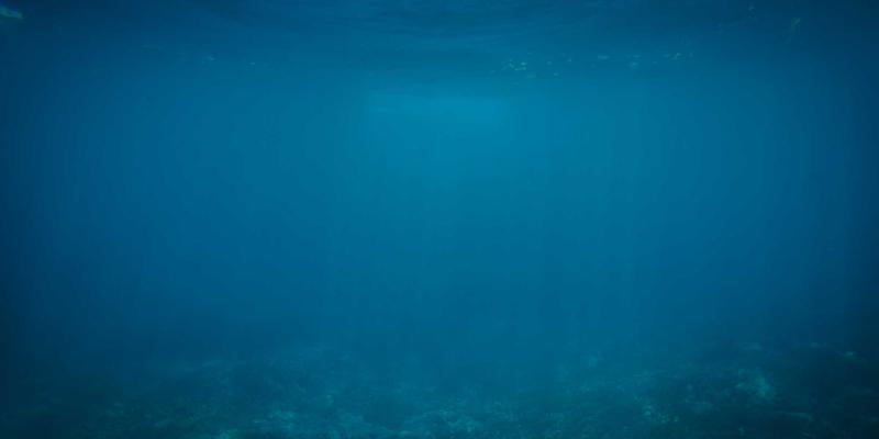 重塑职场竞争力：基于神经科学大脑可塑性的IT、商业管理及职业技能培训新范式